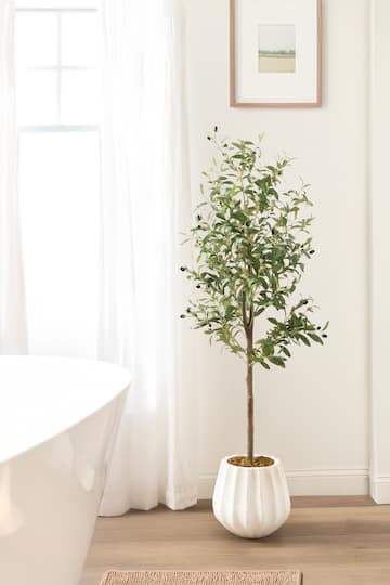 Kate and Laurel 5ft. Oliveira Faux Olive Tree in Claudel Scalloped Distressed White Planter